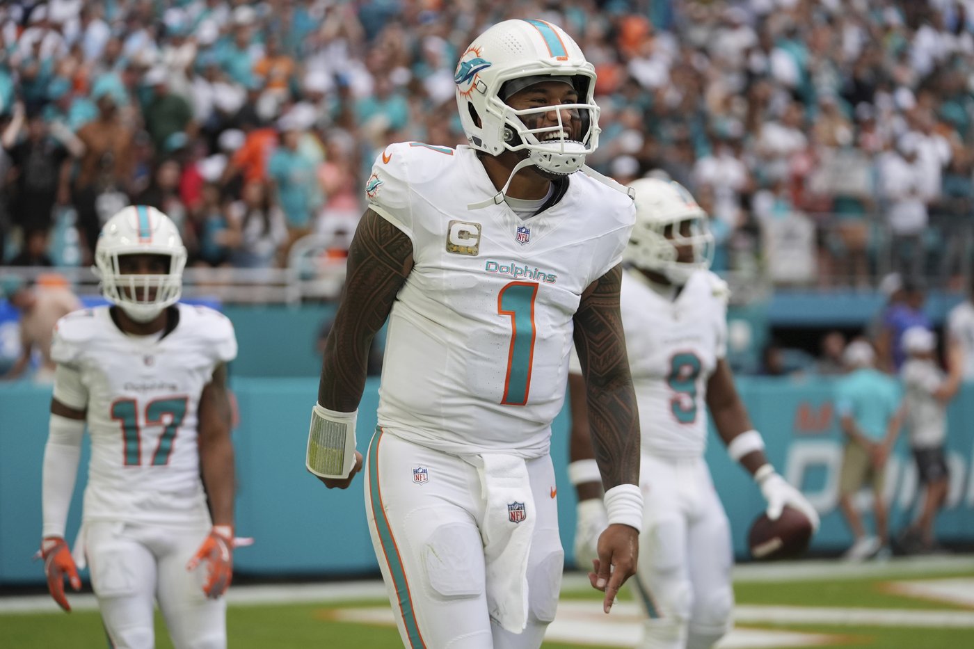 Dolphins look to win 3rd straight game when they host Pats | iNFOnews.ca Dolphins look to win 3rd straight game when they host Pats | iNFOnews.ca