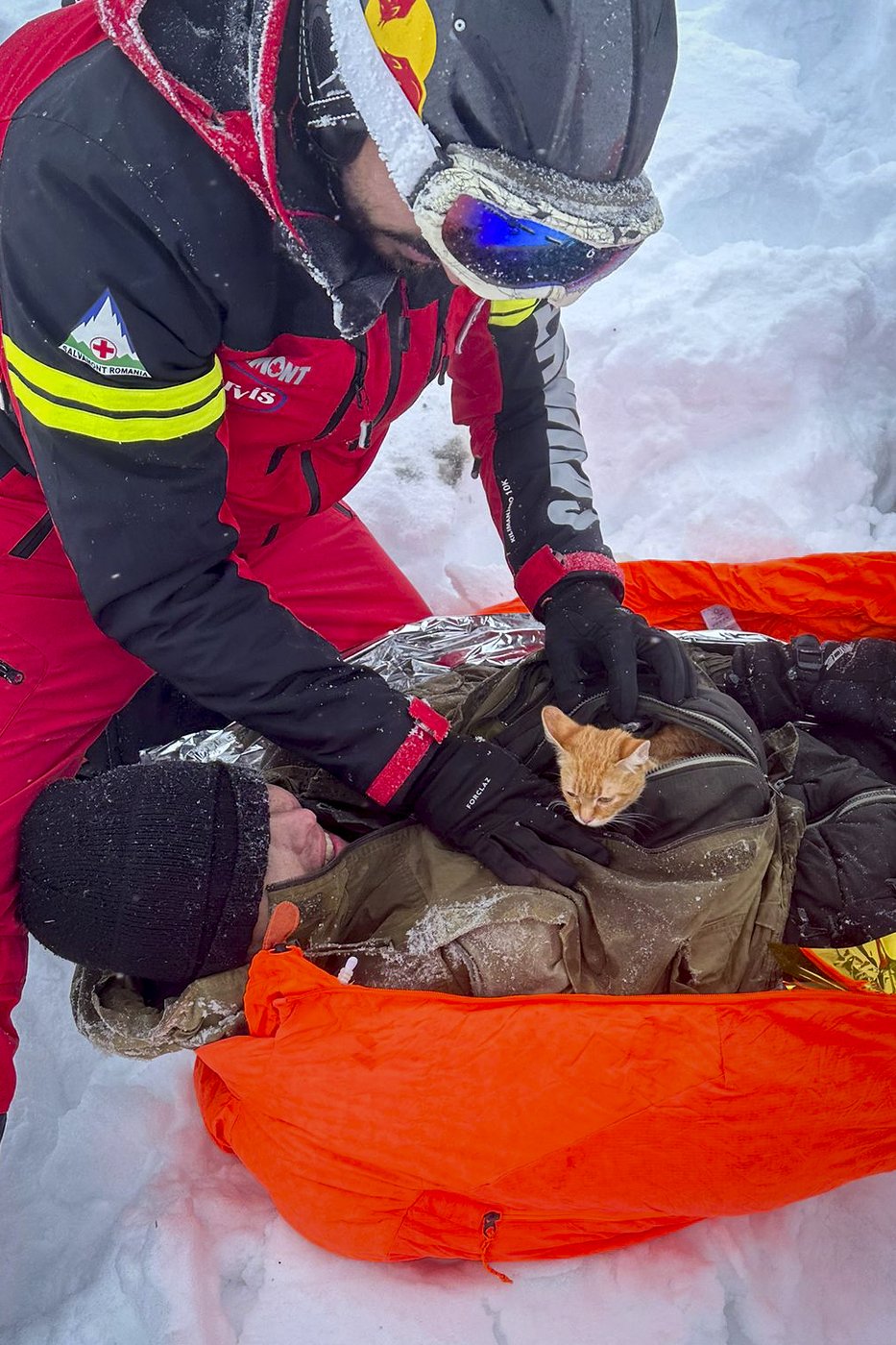 Ukrainian man fleeing war rescued with his kitten on a perilous journey through Romanian mountains | iNFOnews.ca Ukrainian man fleeing war rescued with his kitten on a perilous journey through Romanian mountains | iNFOnews.ca