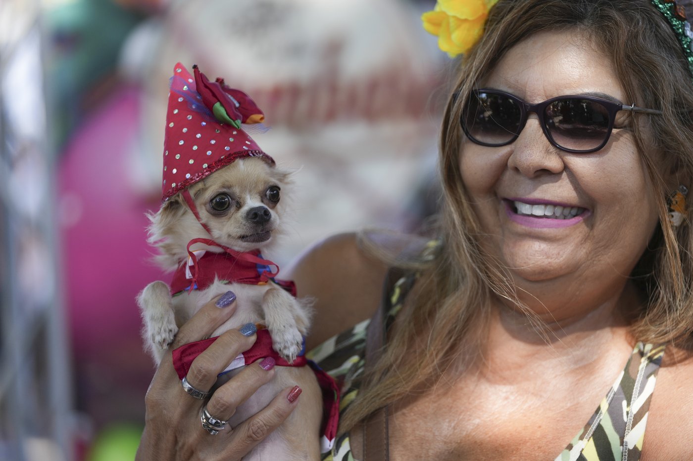The Rio Carnival street party where dogs parade as superheroes and cartoon characters | iNFOnews.ca The Rio Carnival street party where dogs parade as superheroes and cartoon characters | iNFOnews.ca