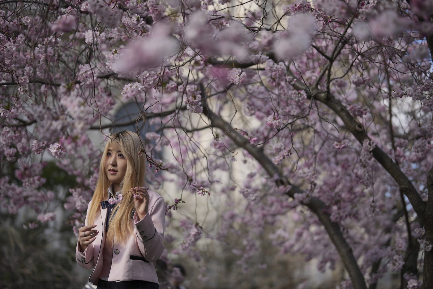 PHOTO COLLECTION: Spring | iNFOnews.ca