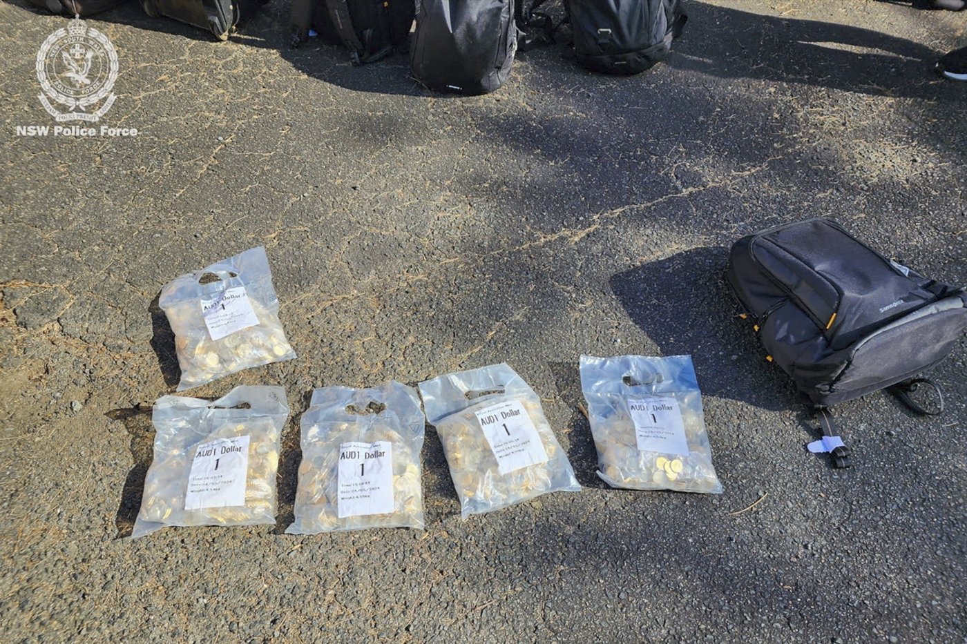 Australian police recover 40,000 stolen coins based on the children's animated series 'Bluey' | iNFOnews.ca
