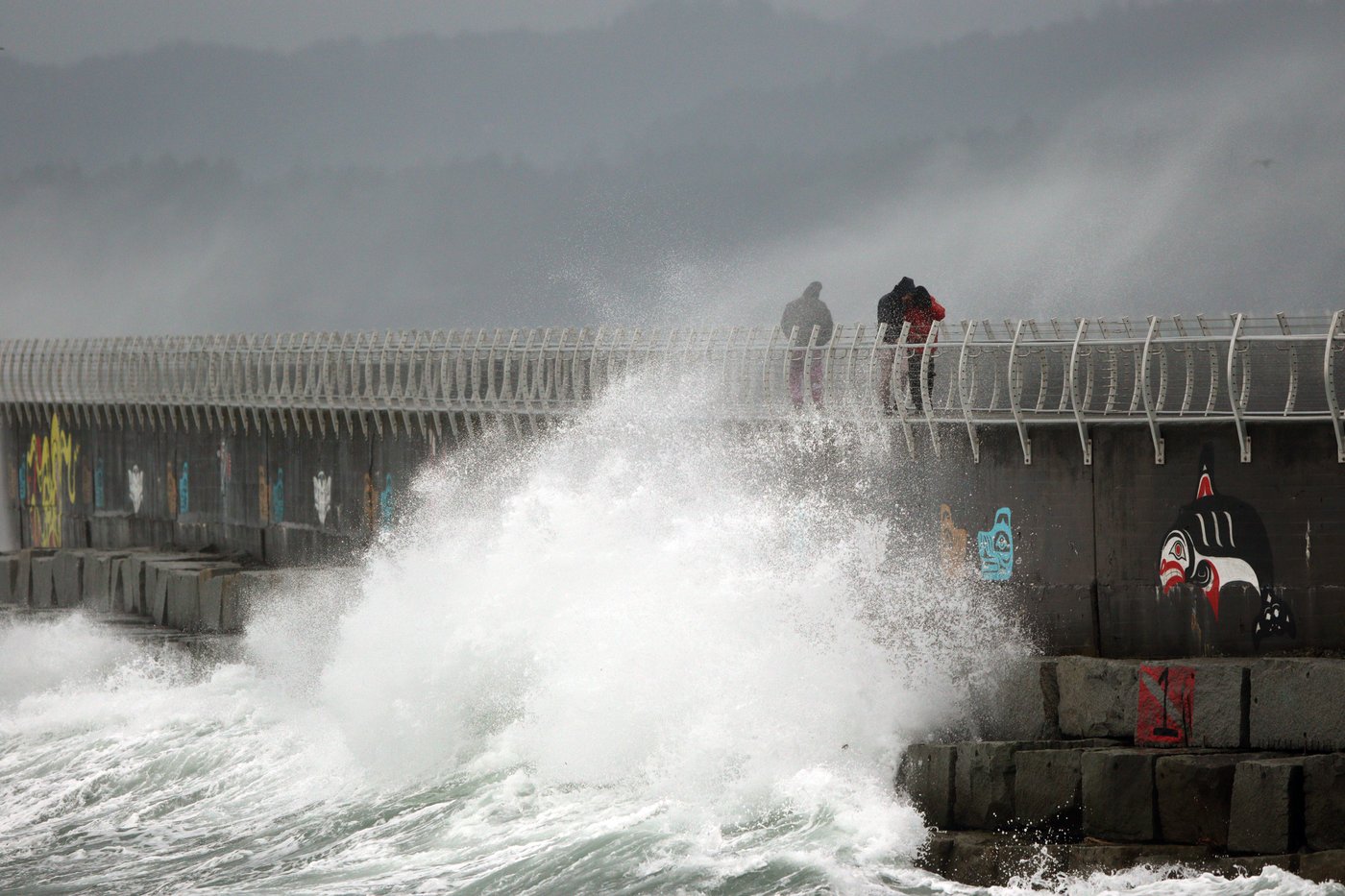 Wild Christmas: BC Ferries cancels many sailings over 'severe' forecast | iNFOnews.ca