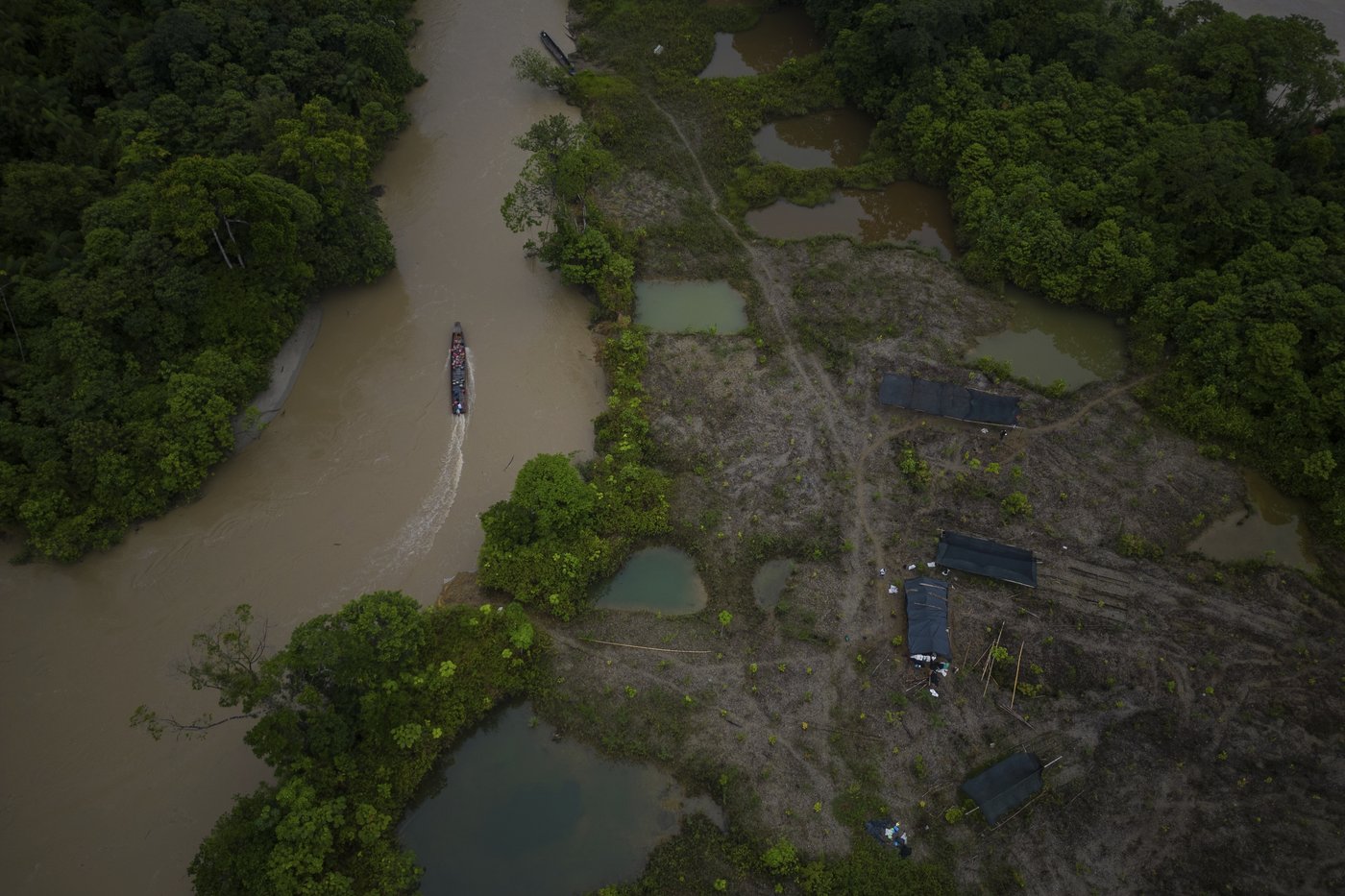 Afro-Colombians fight the effects of gold mining through biodiversity projects in a violent region | iNFOnews.ca Afro-Colombians fight the effects of gold mining through biodiversity projects in a violent region | iNFOnews.ca