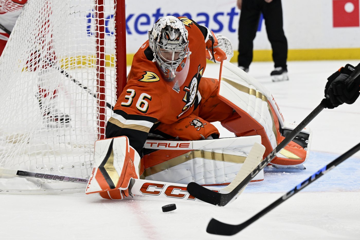Cutter Gauthier puts Ducks ahead with his 1st NHL goal, and Anaheim rallies past the Red Wings 6-4 | iNFOnews.ca