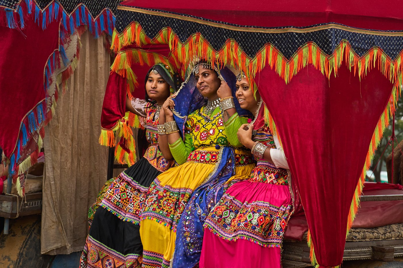 A camel fair in India's desert town of Pushkar draws traders and tourists, in photos | iNFOnews.ca