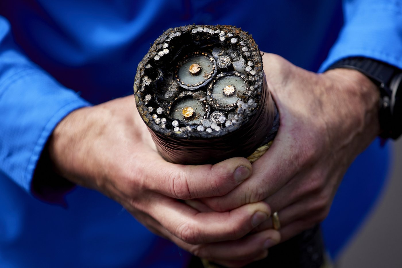 Climate solutions: 2 kinds of ocean energy inch forward off the Oregon coast | iNFOnews.ca