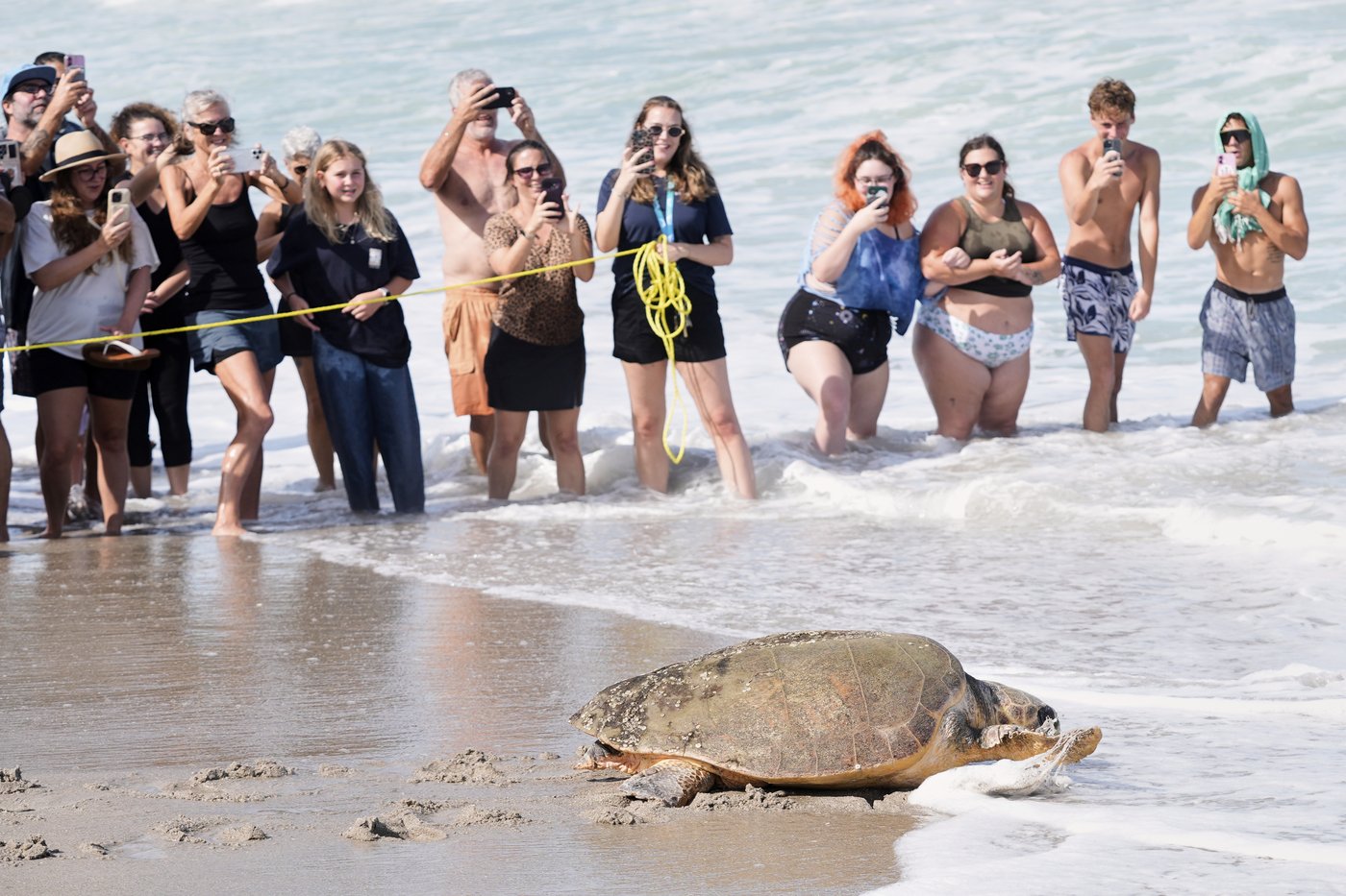 June Cleaver the loggerhead turtle is released into the ocean off Florida after rehab | iNFOnews.ca