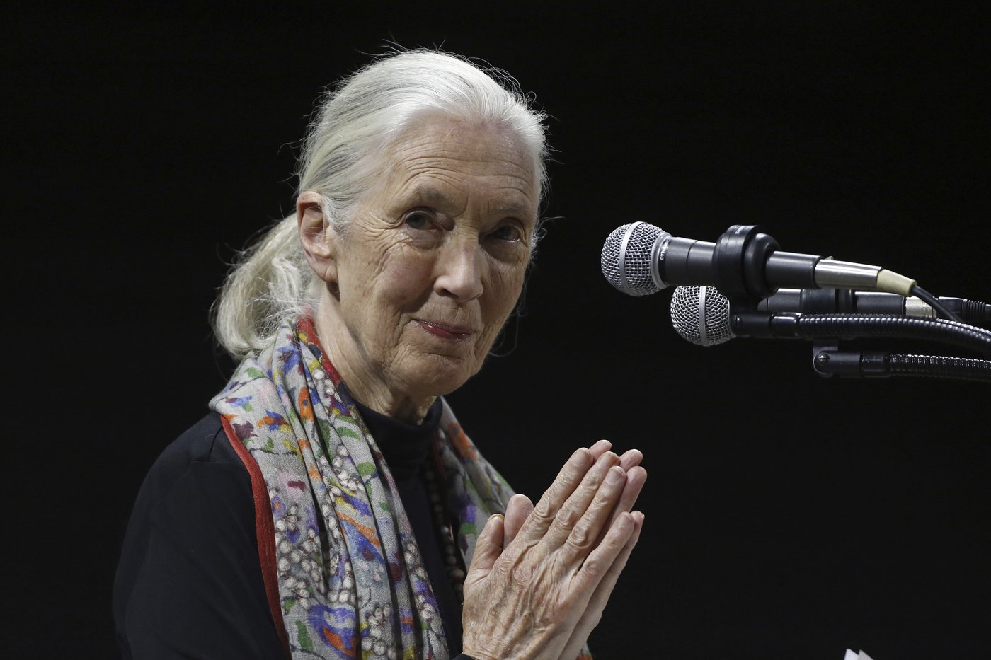 Environmentalists, politicians, celebrities recall life and influence of primatologist Jane Goodall | iNFOnews.ca