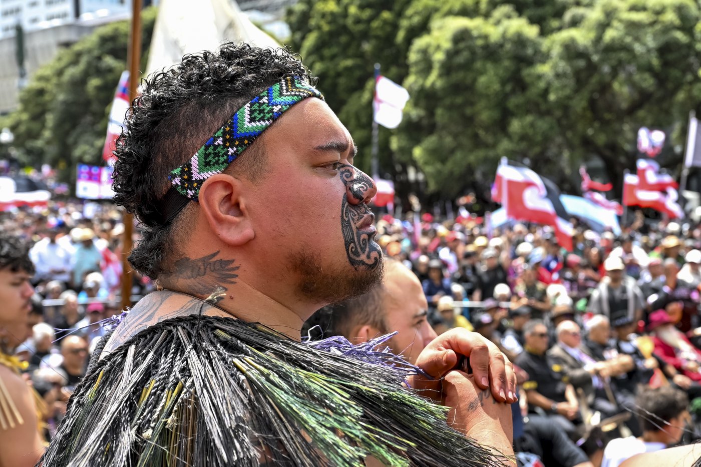 35,000 crowd New Zealand's Parliament grounds in support of Māori rights | iNFOnews.ca 35,000 crowd New Zealand's Parliament grounds in support of Māori rights | iNFOnews.ca