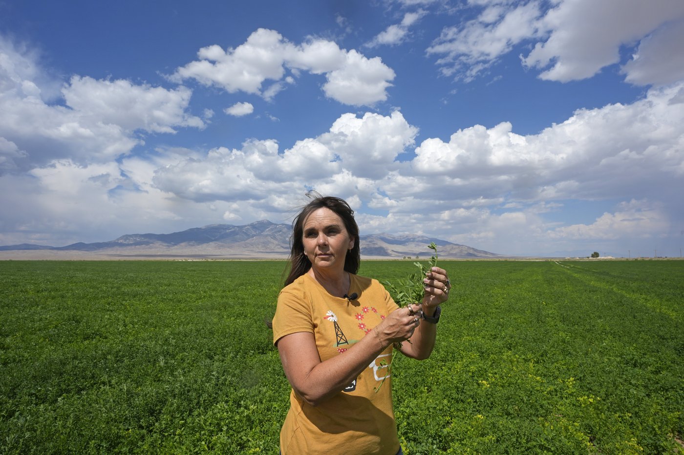 In Nevada, immigration is a nuanced issue. But the politics of it is painted in black and white | iNFOnews.ca