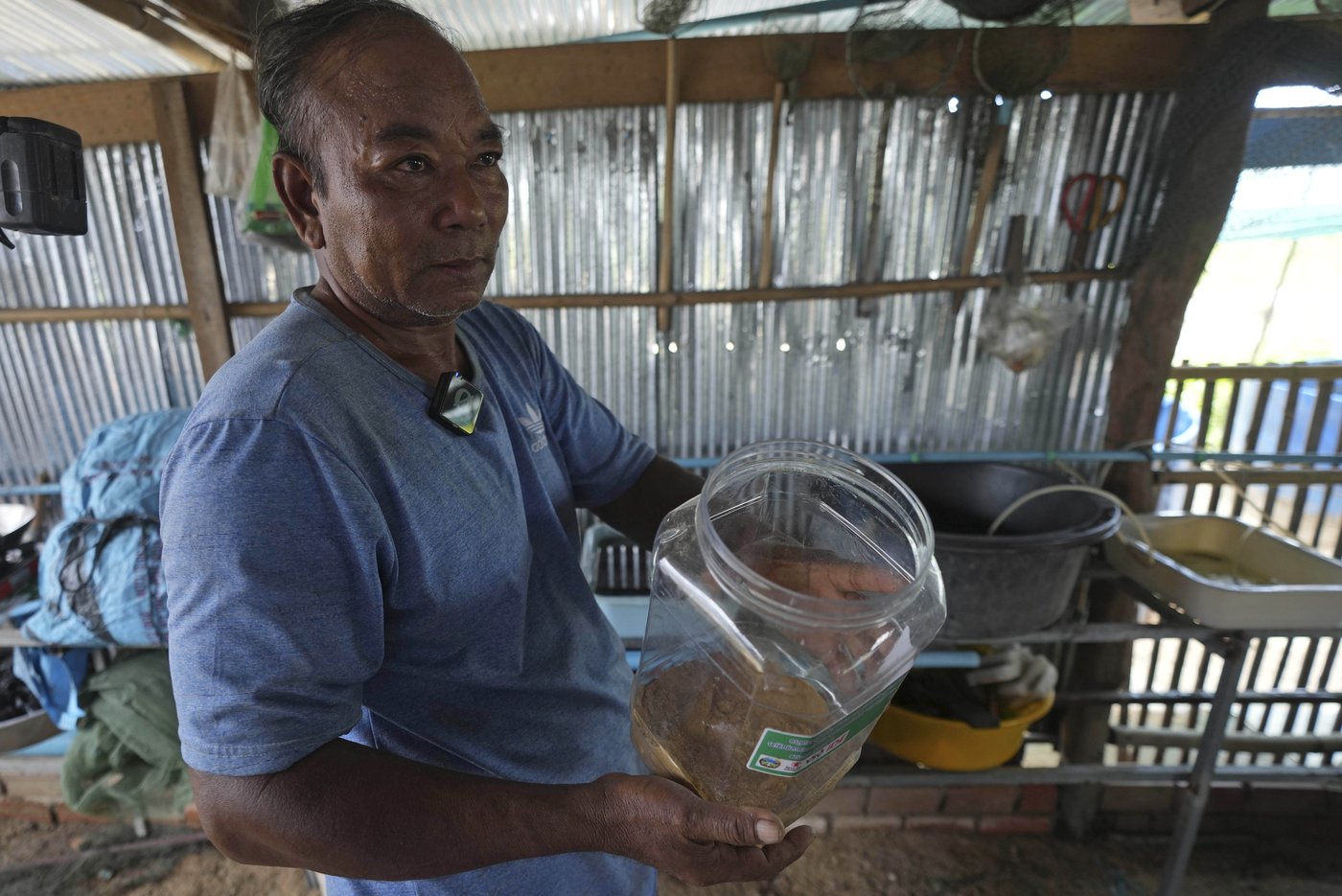 Cambodian fishermen turn to raising eels as Tonle Sap lake runs out of fish | iNFOnews.ca