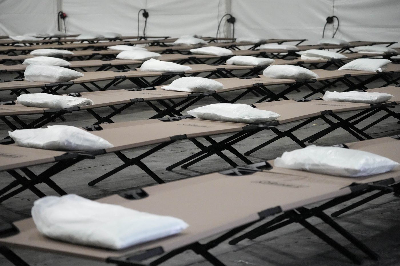 FEMA says it's halting payments for migrant housing in New York after Musk blasts money for hotels | iNFOnews.ca