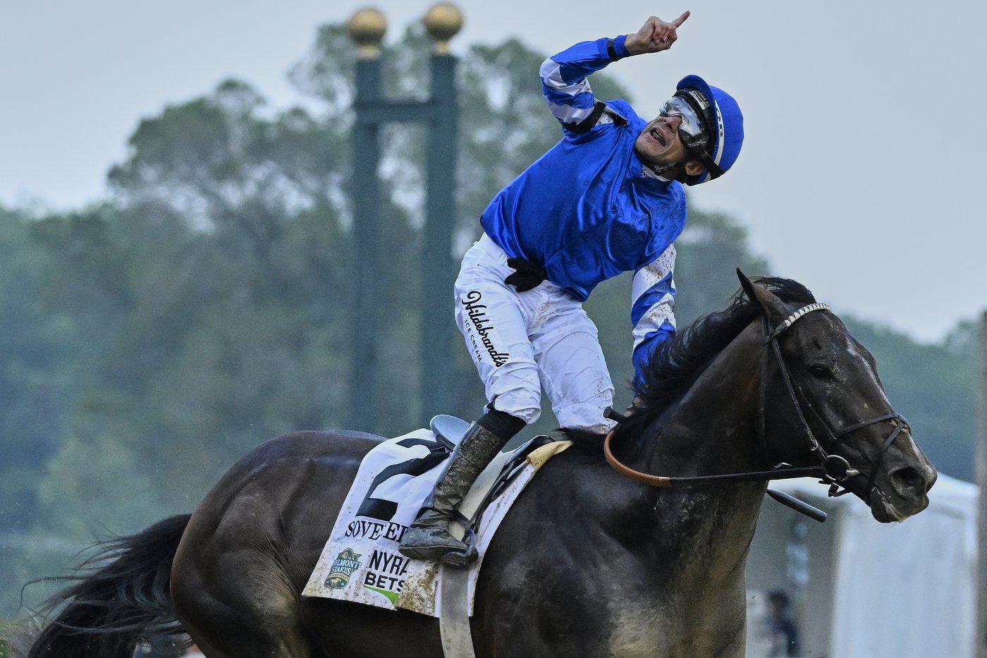Sovereignty beats Journalism to win Belmont Stakes at Saratoga | iNFOnews.ca