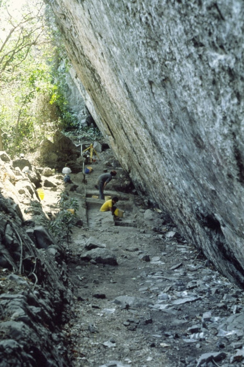 Giant sloths and mastodons coexisted with humans for millennia in Americas, new discoveries suggest | iNFOnews.ca Giant sloths and mastodons coexisted with humans for millennia in Americas, new discoveries suggest | iNFOnews.ca
