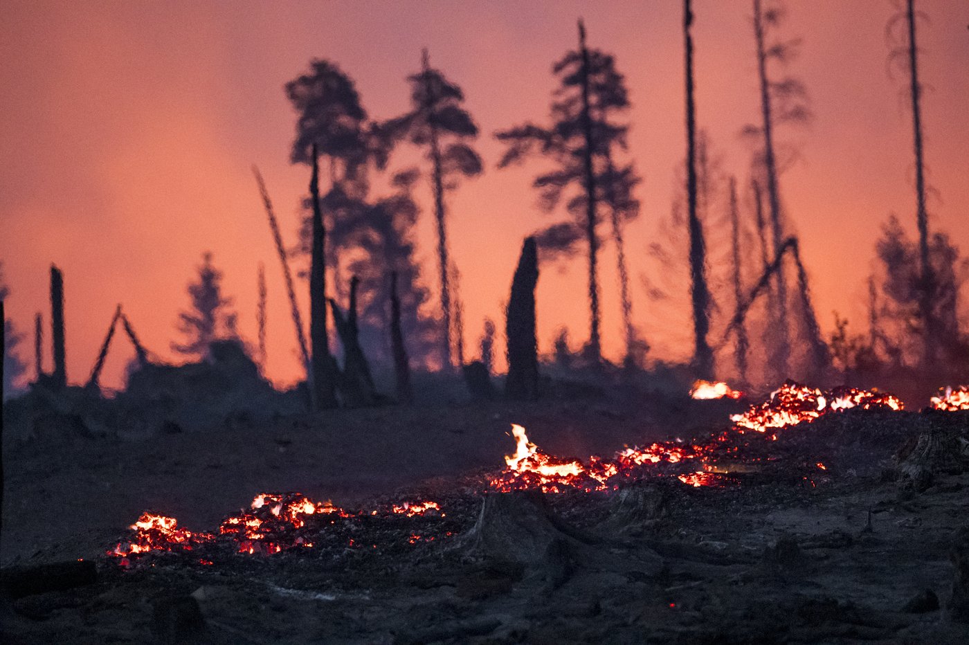 Wildfires in eastern Germany injure firefighters and force evacuations | iNFOnews.ca Wildfires in eastern Germany injure firefighters and force evacuations | iNFOnews.ca