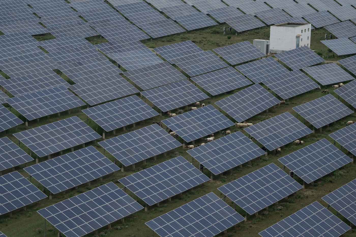 China, world's top carbon pollutor, likely to overdeliver on climate goals. Will that be enough? | iNFOnews.ca