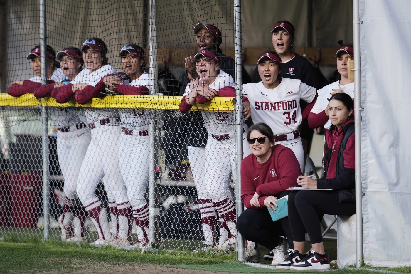Stanford softball chases attendance record at school's football stadium | iNFOnews.ca Stanford softball chases attendance record at school's football stadium | iNFOnews.ca