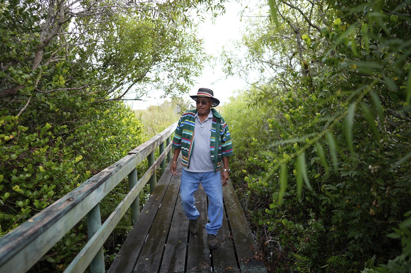 Takeaways from AP's story on the Miccosukee's fight to protect the Everglades | iNFOnews.ca Takeaways from AP's story on the Miccosukee's fight to protect the Everglades | iNFOnews.ca