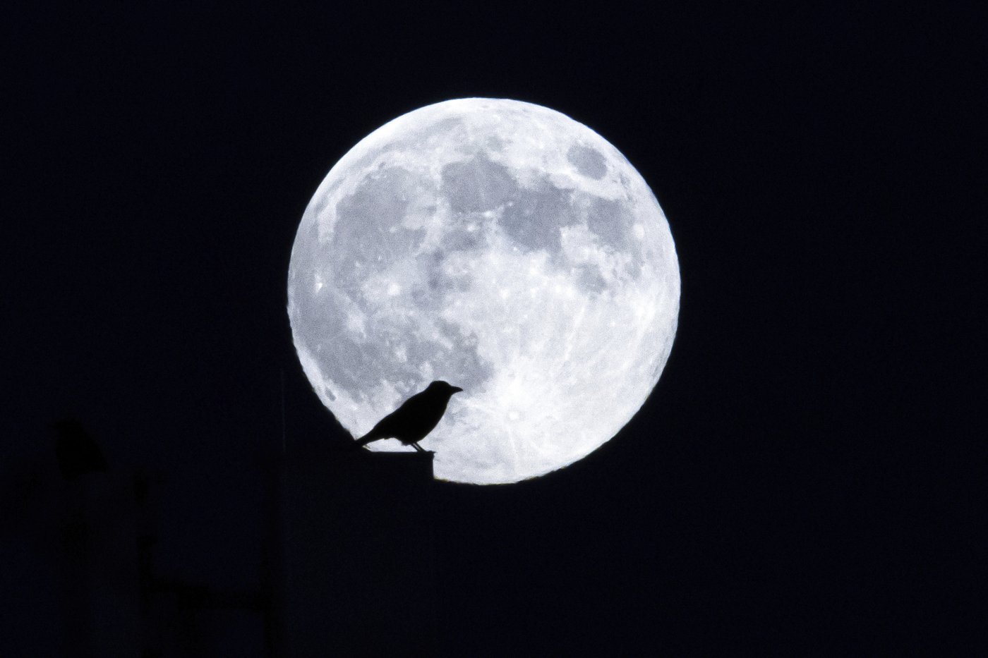 NASA pushes back astronaut flights to the moon again | iNFOnews.ca
