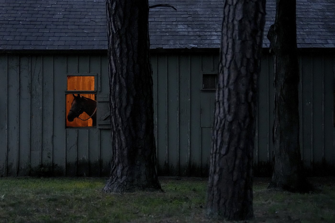 PHOTOS OF THE YEAR: Through photographers' lenses, an epic catalog of humanity in 2024 emerges | iNFOnews.ca