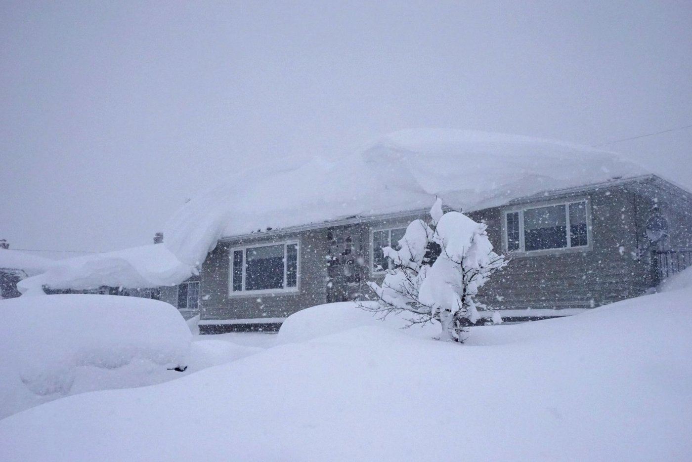 Latest B.C. storm brings 140 km/h gusts to Vancouver Island amid wind, snow warnings | iNFOnews.ca