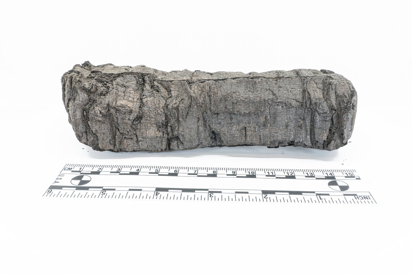 AI and scientists unite to decipher old scrolls charred by the Vesuvius volcano | iNFOnews.ca