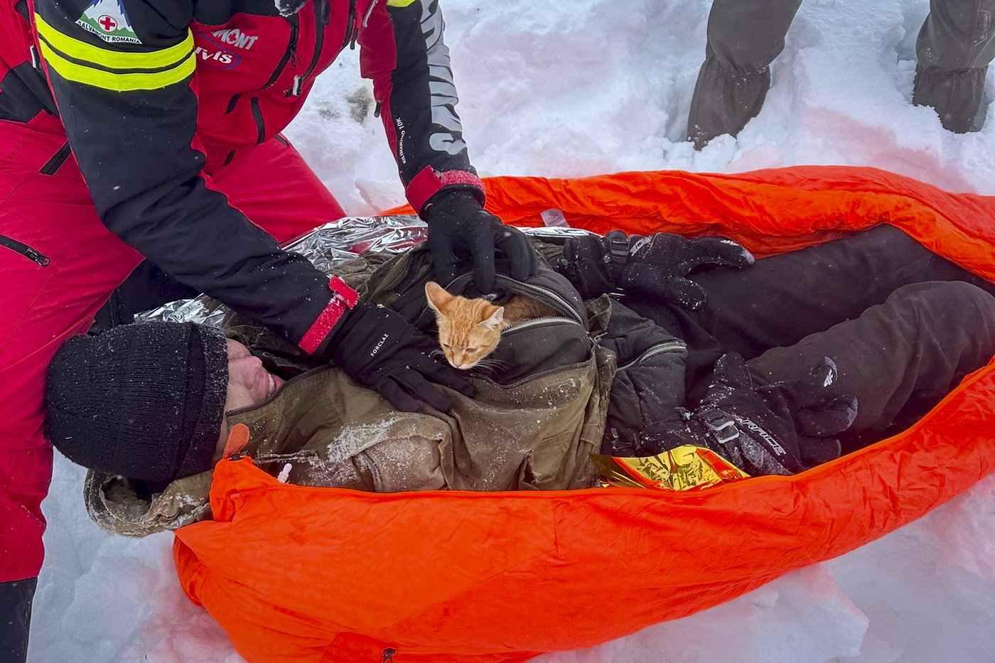 Ukrainian man fleeing war rescued with his kitten on a perilous journey through Romanian mountains | iNFOnews.ca Ukrainian man fleeing war rescued with his kitten on a perilous journey through Romanian mountains | iNFOnews.ca