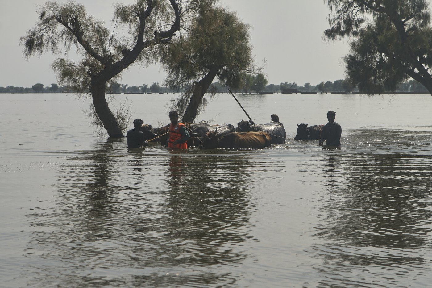 Rescuers in Pakistan scramble to save residents as swollen rivers reach dangerous levels | iNFOnews.ca