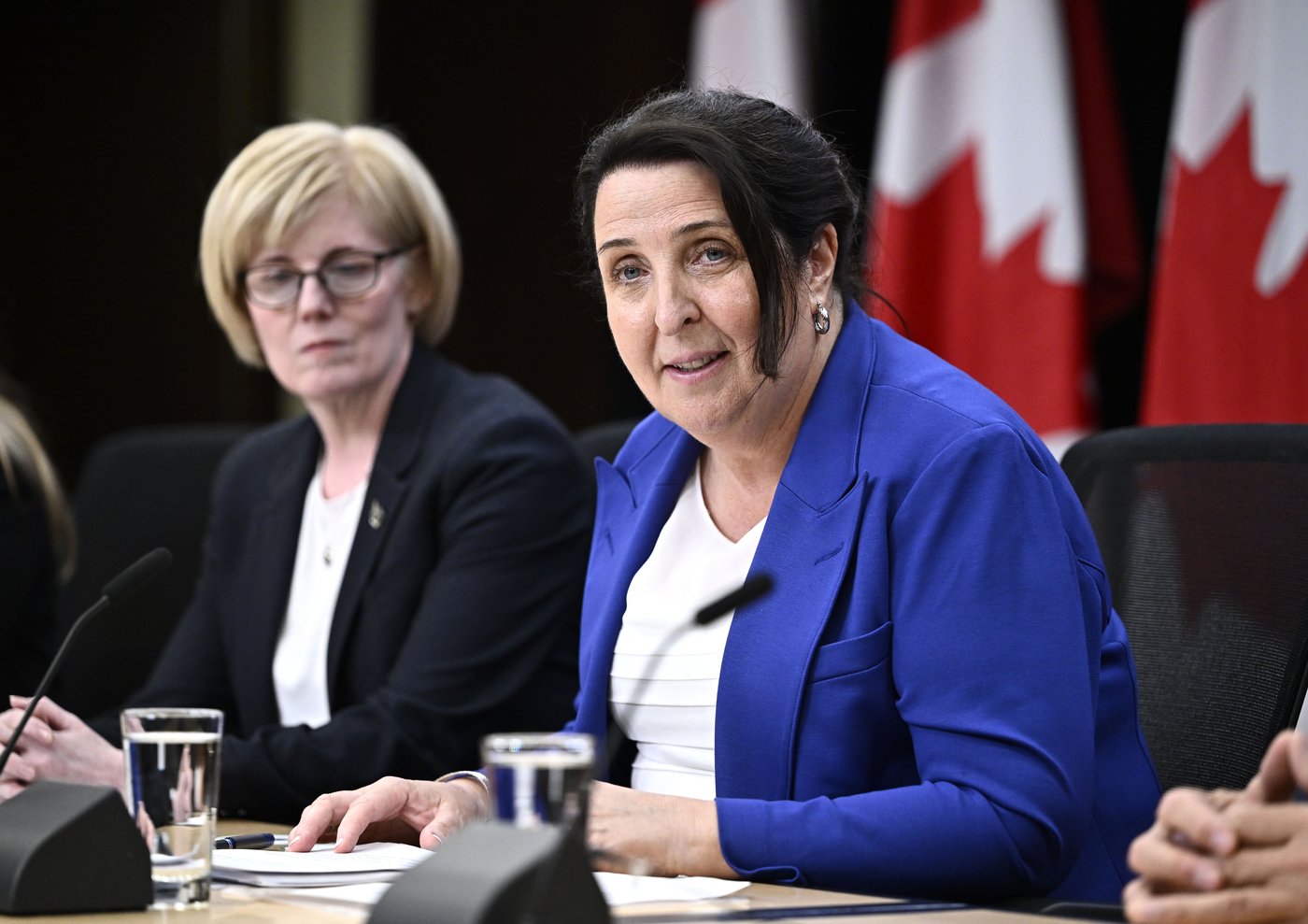 Future of Sport in Canada Commission opens public survey ahead of summit | iNFOnews.ca