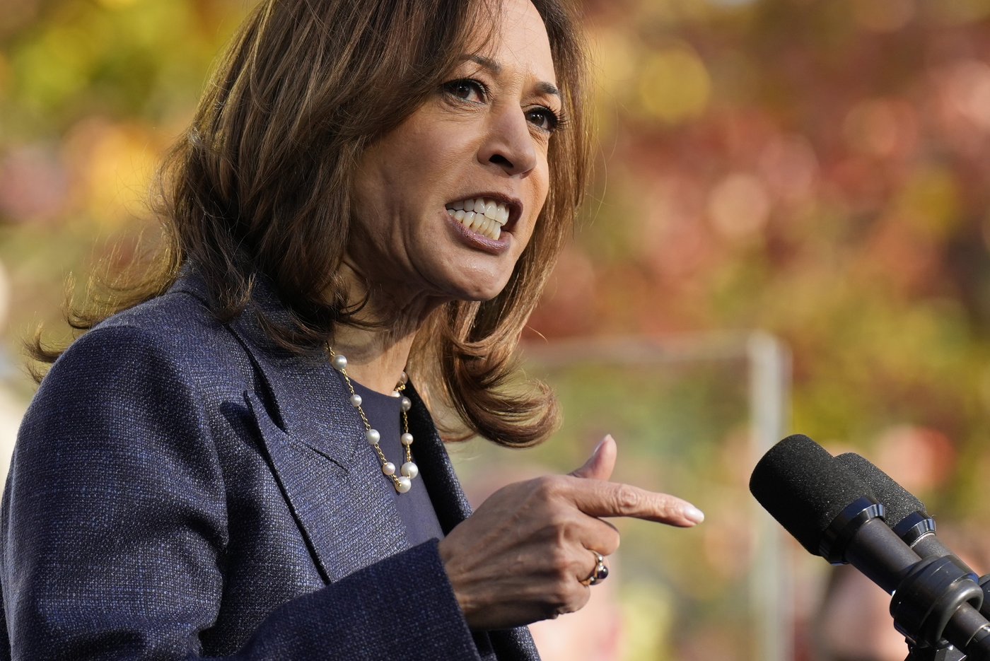 Harris' interview with Fox News is marked by testy exchanges over immigration and more | iNFOnews.ca