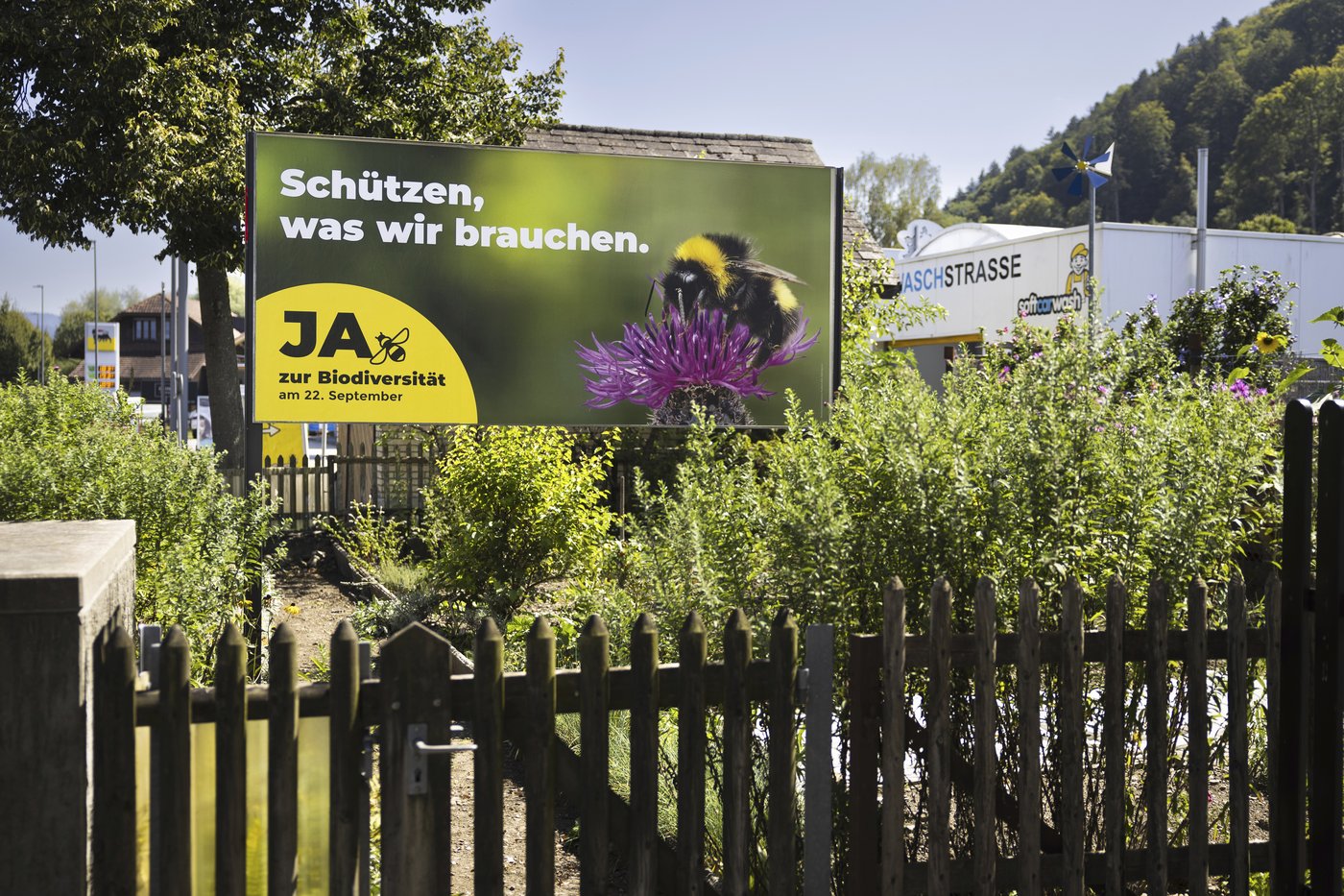 Birds, bees and ballots: Swiss voters to decide on plan to bolster country's fragile biodiversity | iNFOnews.ca