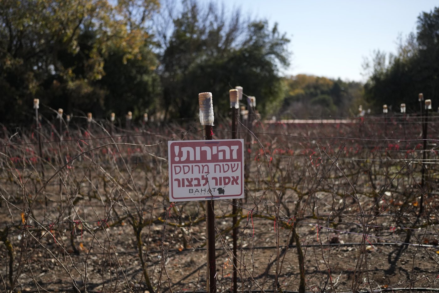 Israel's plan to double the number of settlers in the Golan Heights is met with conflicting emotions | iNFOnews.ca Israel's plan to double the number of settlers in the Golan Heights is met with conflicting emotions | iNFOnews.ca