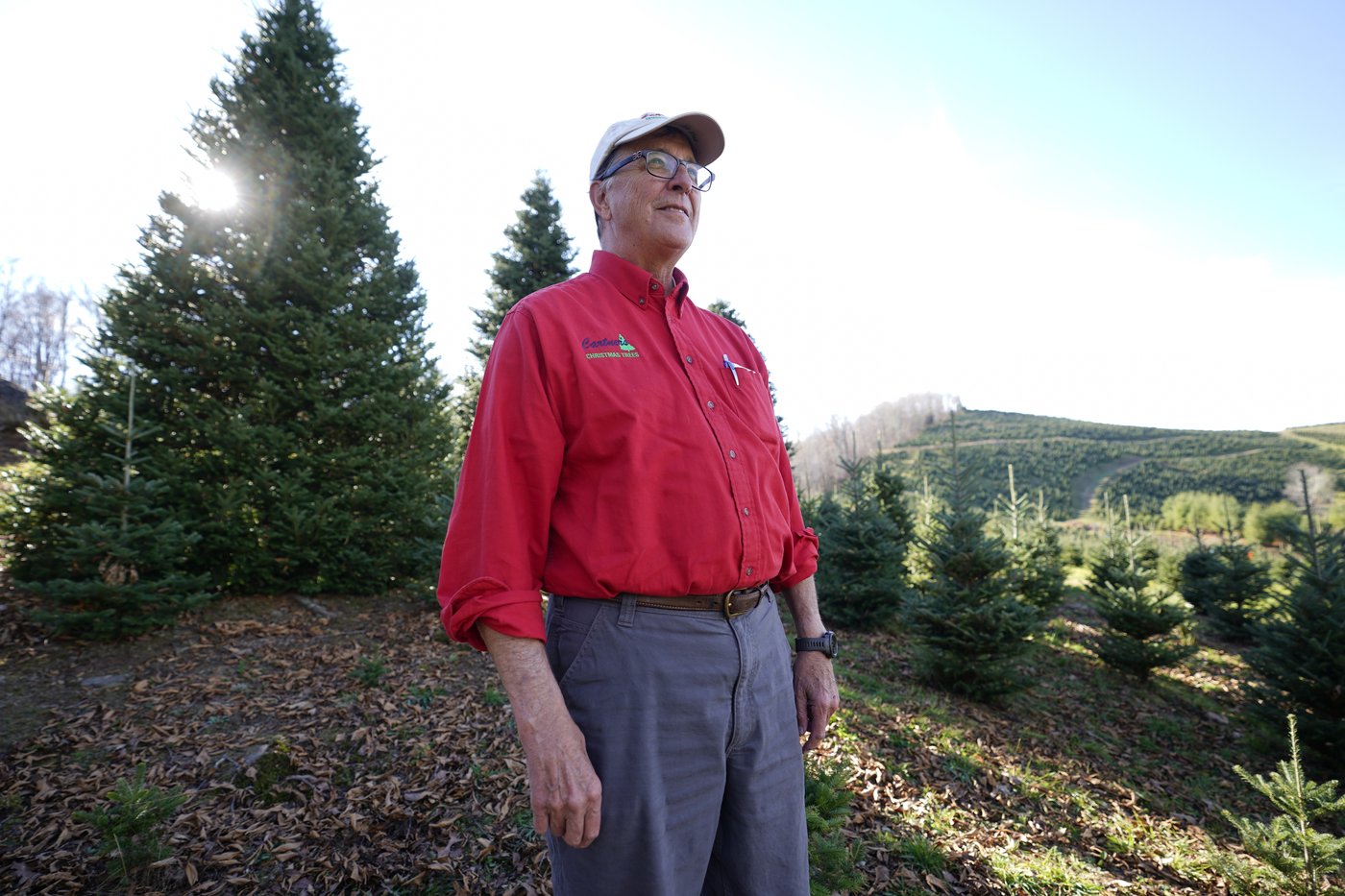 The White House's Christmas tree is a symbol of resilience for hurricane-hit North Carolina farms | iNFOnews.ca The White House's Christmas tree is a symbol of resilience for hurricane-hit North Carolina farms | iNFOnews.ca