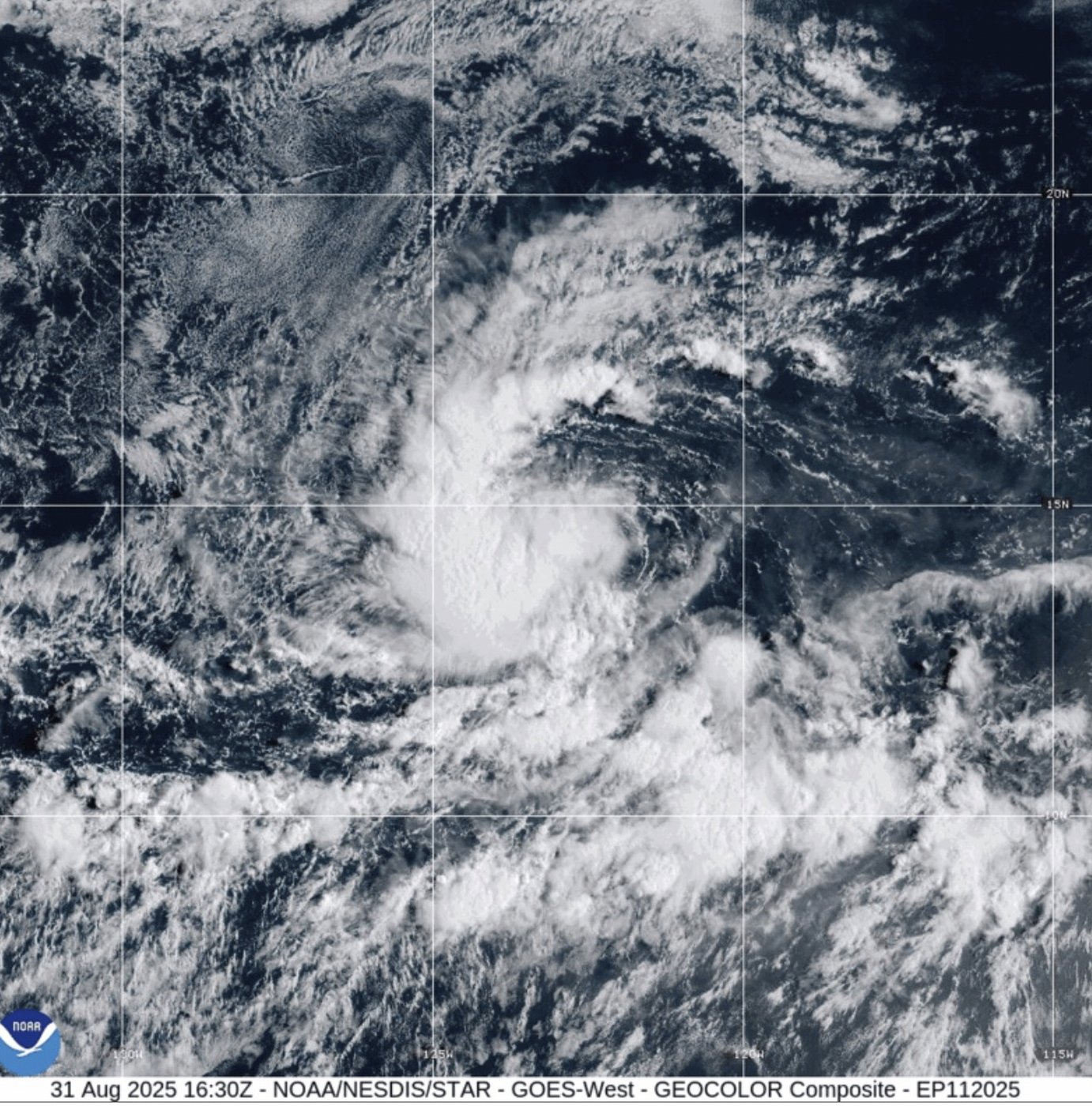 Tropical Storm Kiko forms in eastern Pacific Ocean; no immediate threat to land | iNFOnews.ca