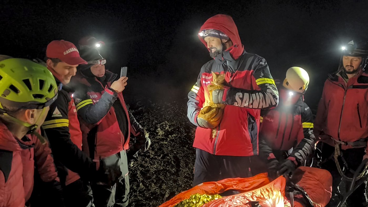 Ukrainian man fleeing war rescued with his kitten on a perilous journey through Romanian mountains | iNFOnews.ca Ukrainian man fleeing war rescued with his kitten on a perilous journey through Romanian mountains | iNFOnews.ca