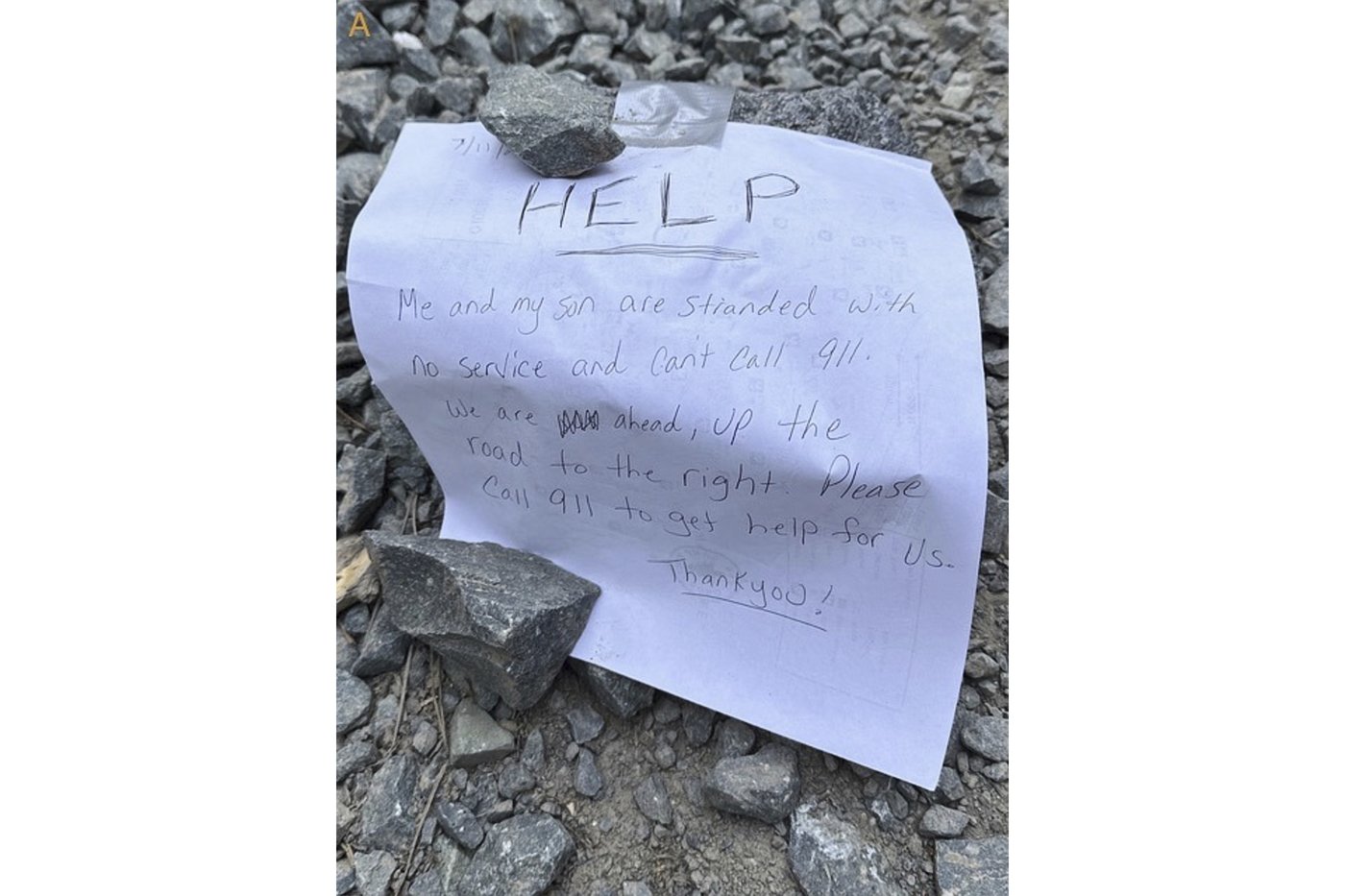 Rescuers find mom and son lost in California forest thanks to notes they left on a remote road | iNFOnews.ca
