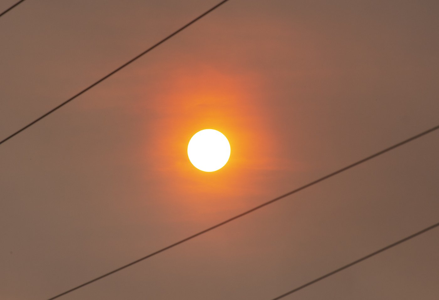 Largest wildfire continues to gain ground in eastern Newfoundland | iNFOnews.ca