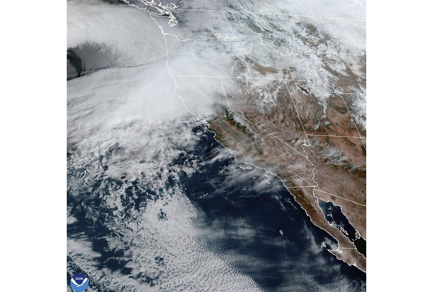 What is a 'bomb cyclone'? The weather term back in the spotlight as West Coast prepares for a storm | iNFOnews.ca What is a 'bomb cyclone'? The weather term back in the spotlight as West Coast prepares for a storm | iNFOnews.ca