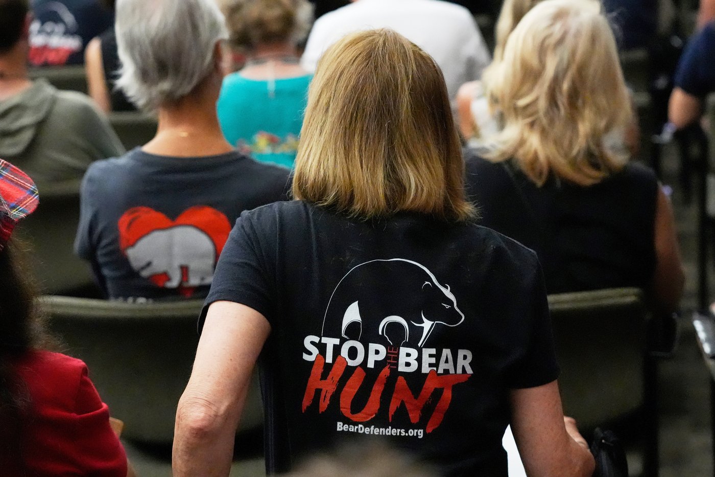 More than 160,000 apply for Florida's first bear hunt in a decade, wildlife officials say | iNFOnews.ca