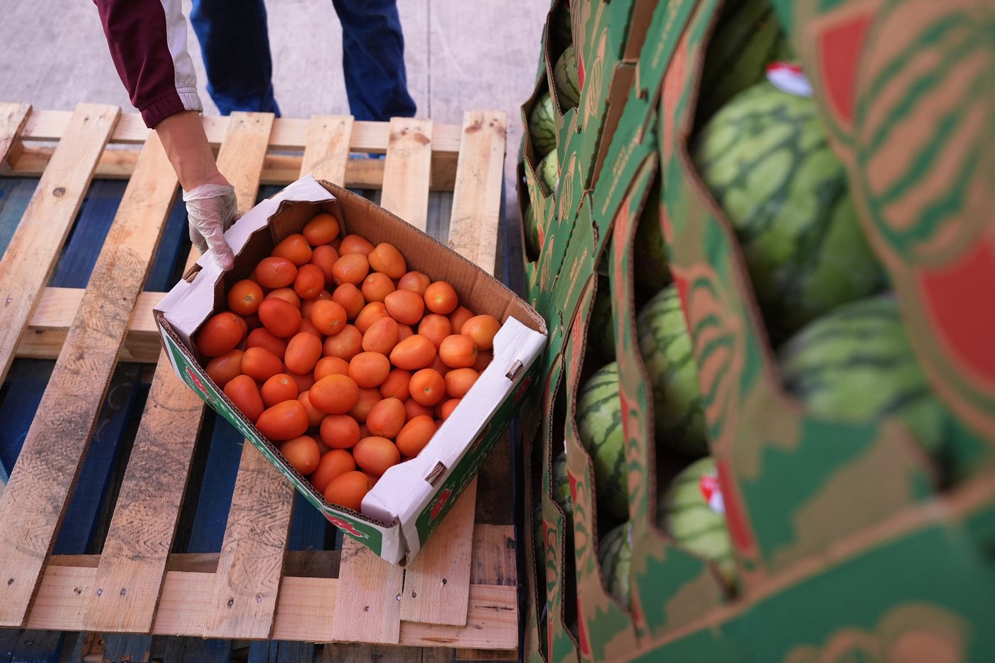 Federal judge orders Trump administration to fully fund SNAP benefits in November | iNFOnews.ca