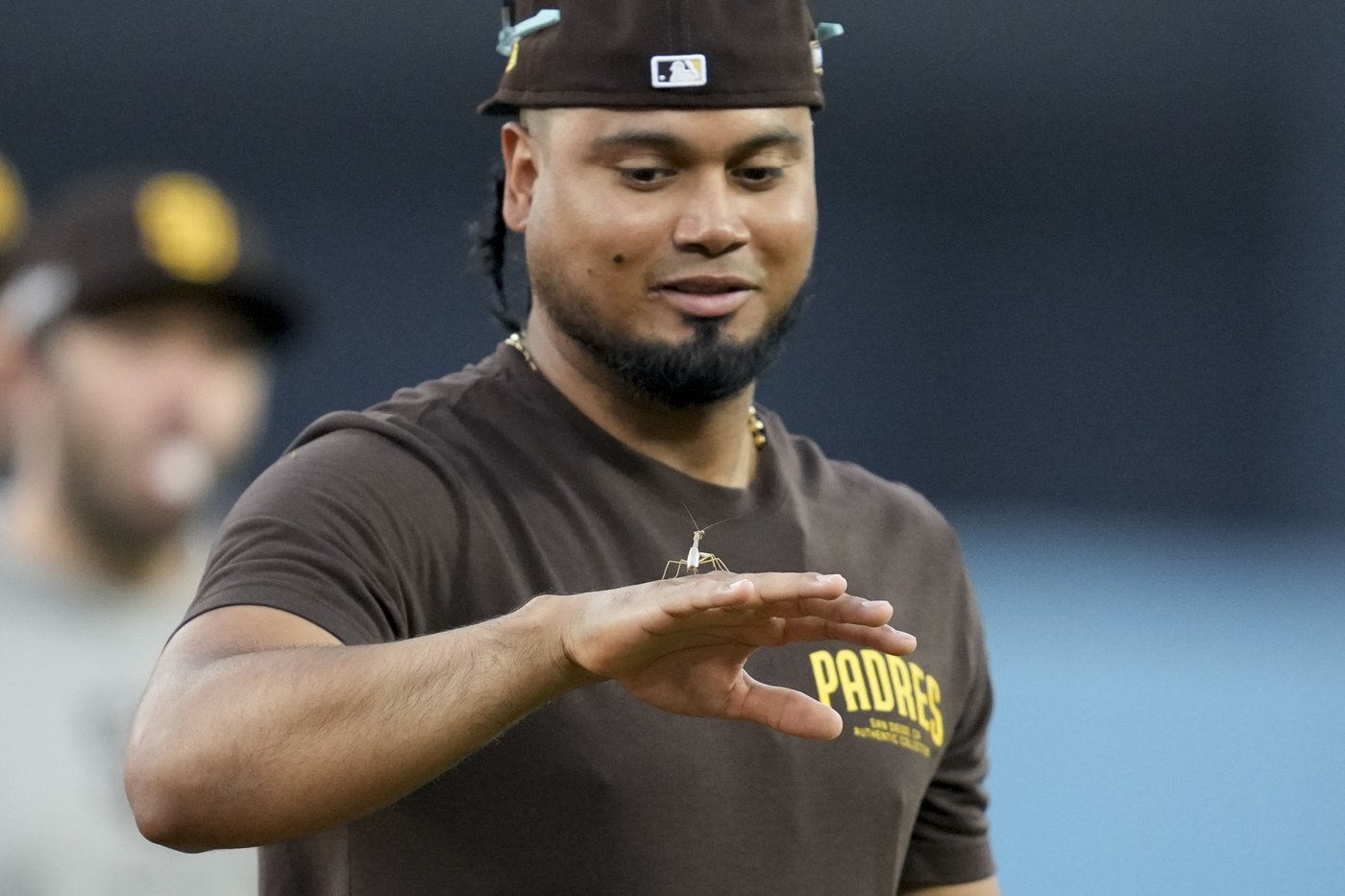 NL batting champ Luis Arraez of the Padres has thumb surgery | iNFOnews.ca