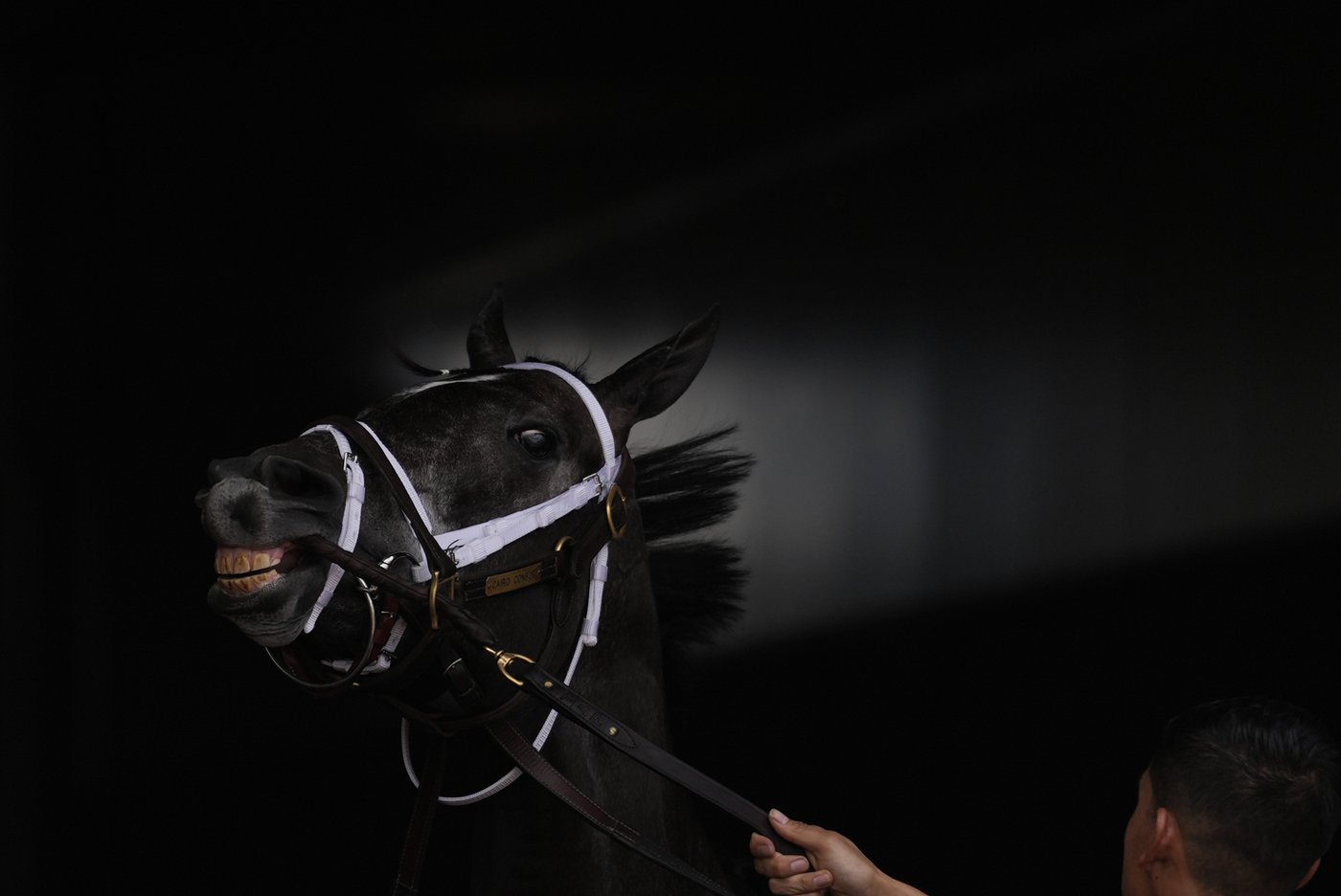 PHOTOS OF THE YEAR: Through photographers' lenses, an epic catalog of humanity in 2024 emerges | iNFOnews.ca