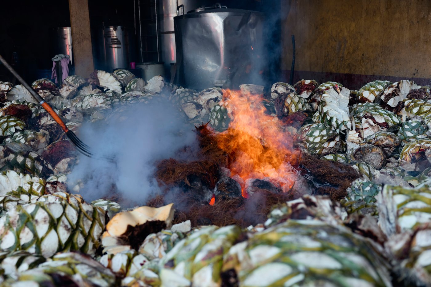 See how mezcal is made in Mexico | iNwine See how mezcal is made in Mexico | iNwine