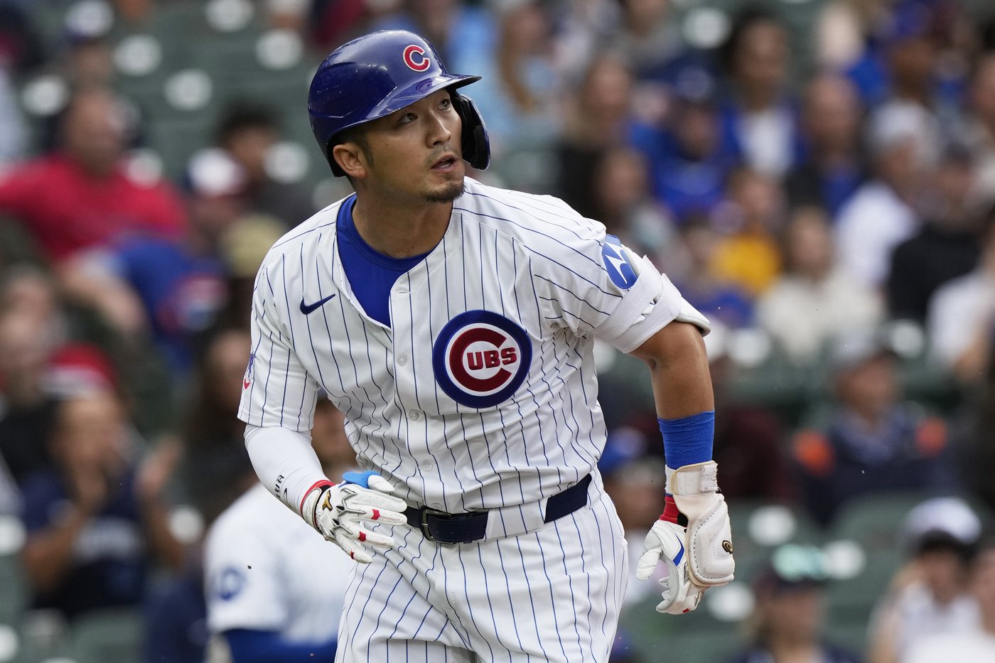 Suzuki and Counsell are working on their communication in spring training with the Cubs | iNFOnews.ca