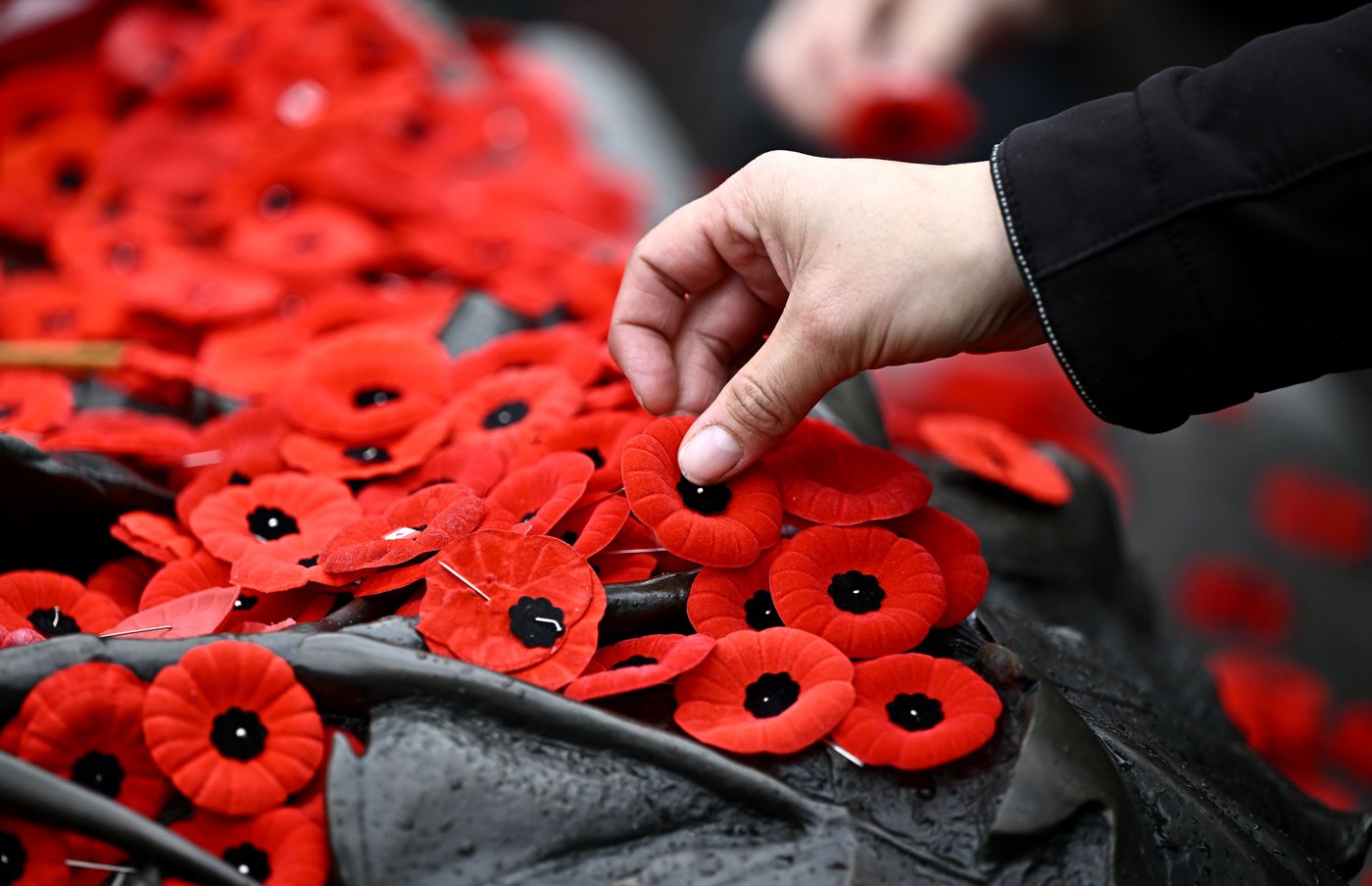 About 7 in 10 Canadians plan to mark Remembrance Day: poll | iNFOnews.ca About 7 in 10 Canadians plan to mark Remembrance Day: poll | iNFOnews.ca