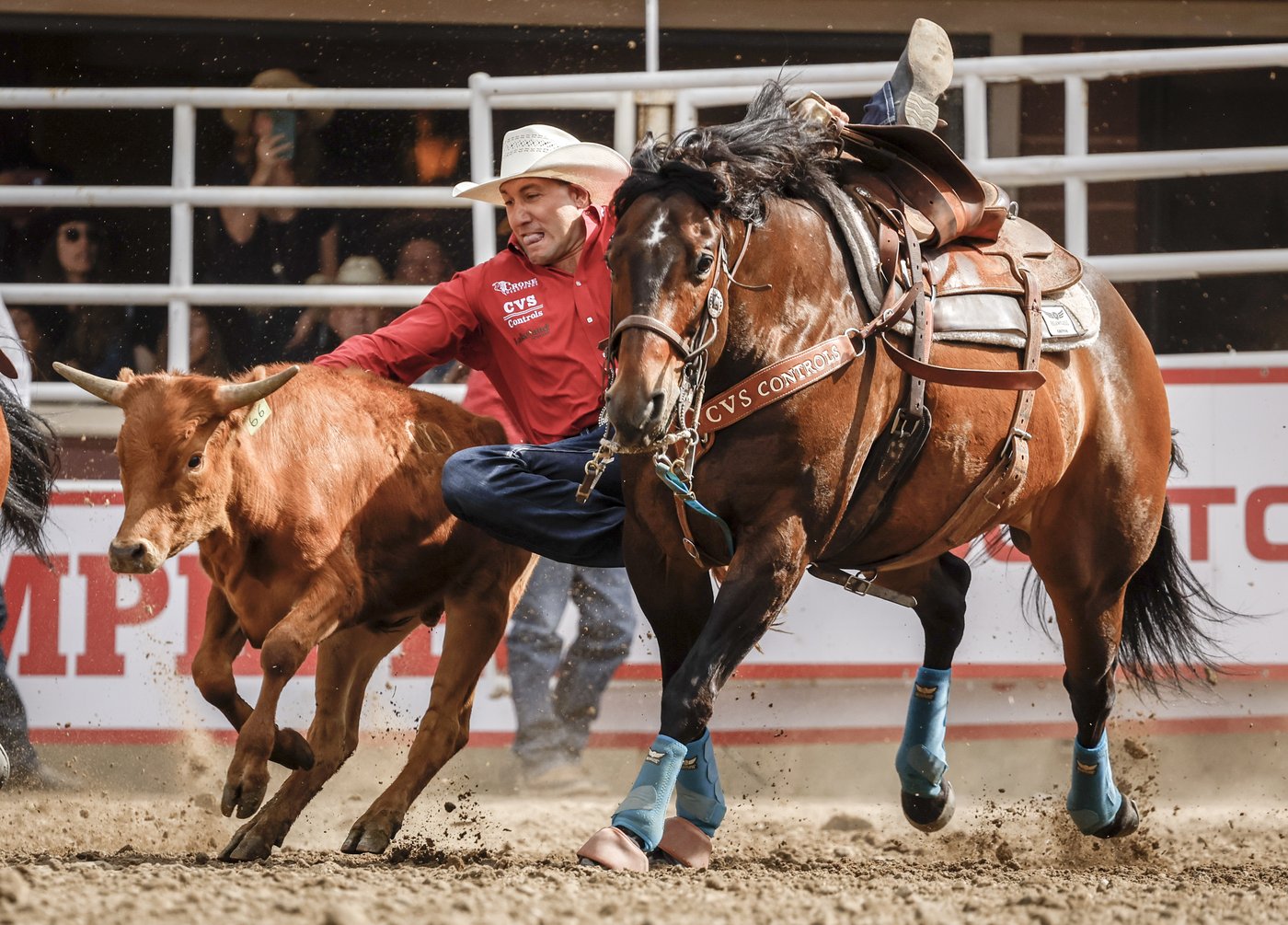 Rodeo winners' circle filled with Albertans at Stampede | iNFOnews.ca Rodeo winners' circle filled with Albertans at Stampede | iNFOnews.ca