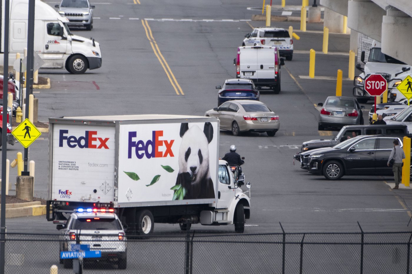 Pandas arrive at National Zoo, but won't be ready for public debut until January | iNFOnews.ca Pandas arrive at National Zoo, but won't be ready for public debut until January | iNFOnews.ca