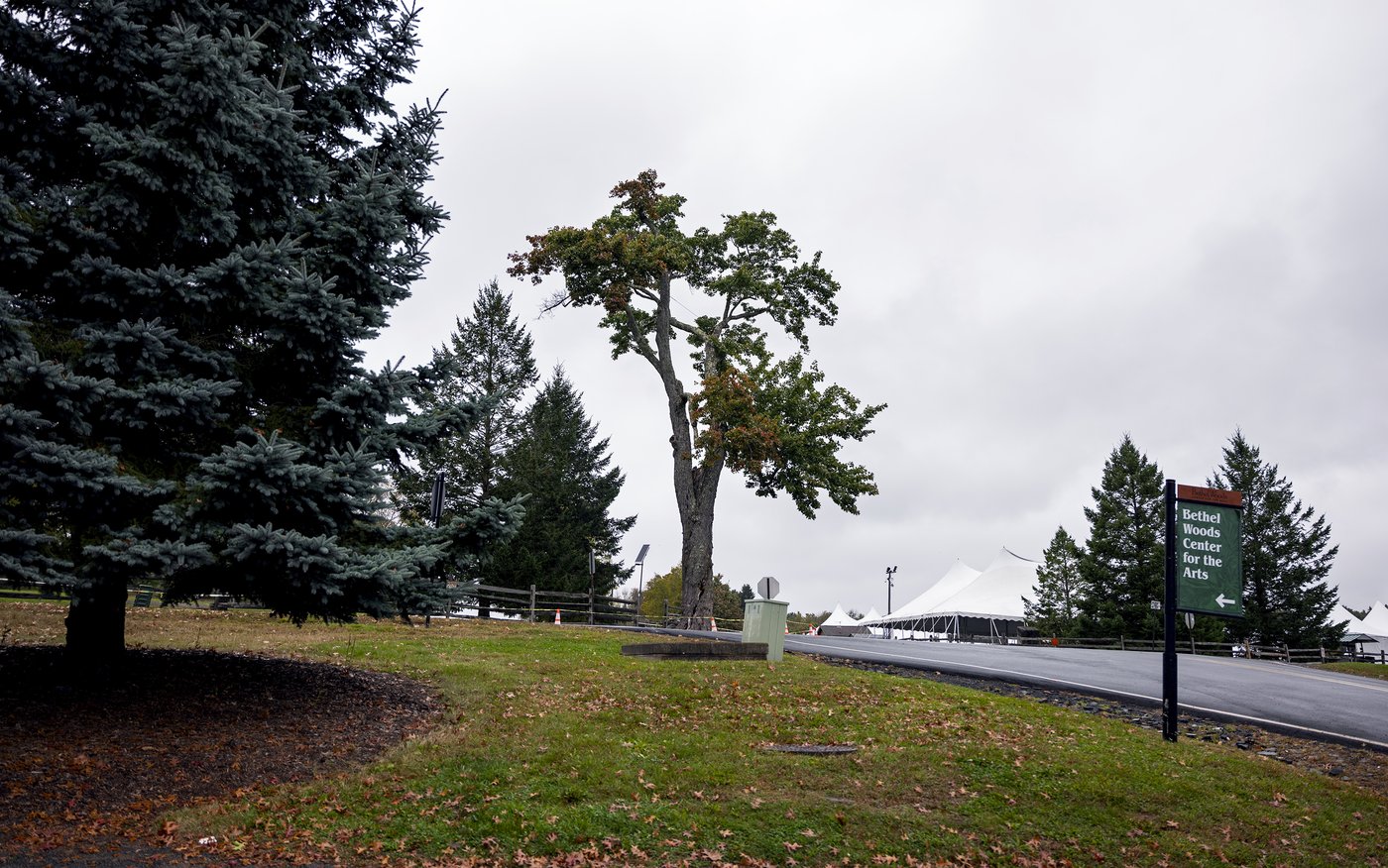 Aging and ailing, 'Message Tree' at Woodstock concert site is reluctantly cut down | iNFOnews.ca