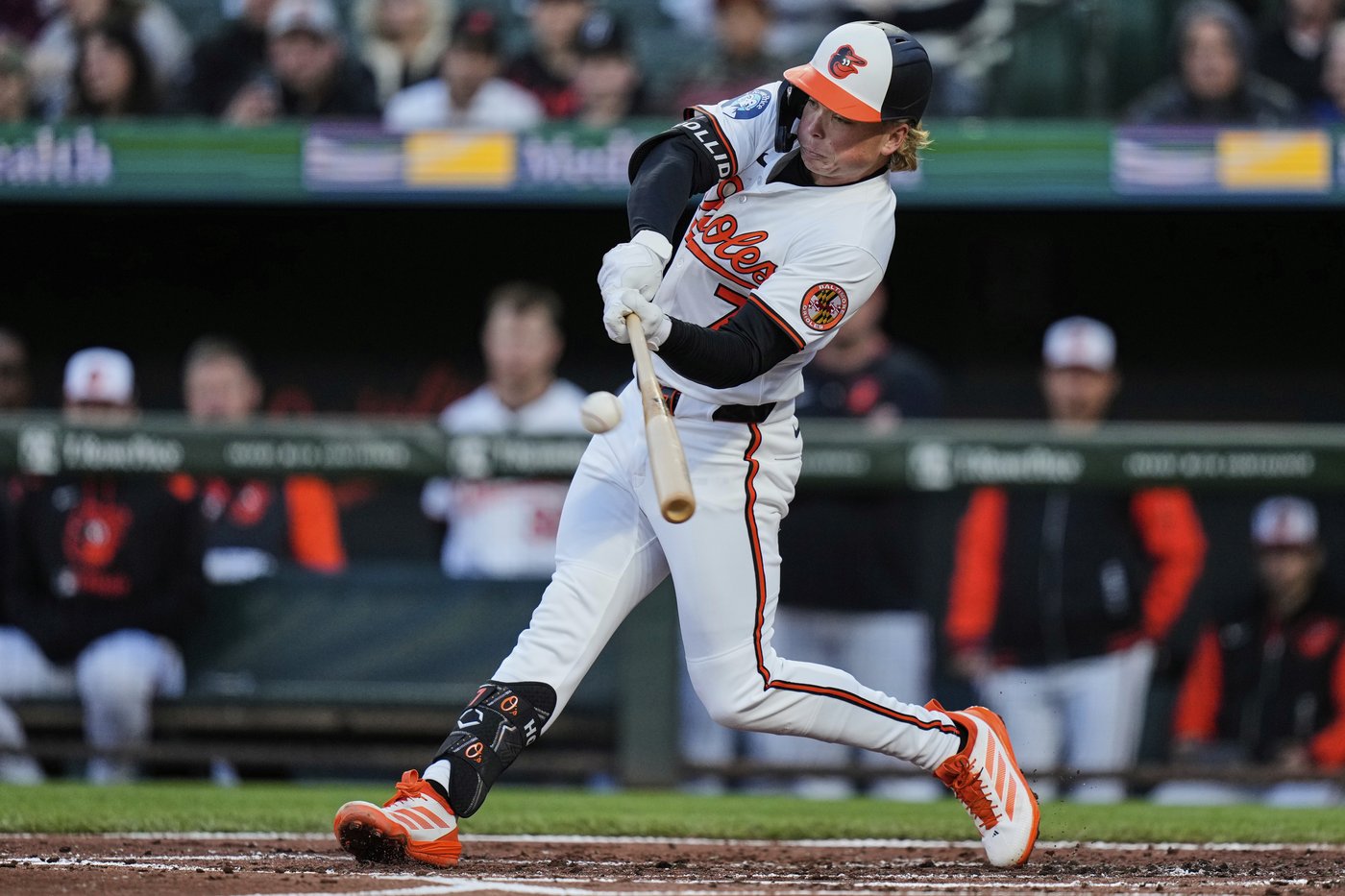 A grand slam for Coconut -- Jackson Holliday hits one with his dog in attendance | iNFOnews.ca A grand slam for Coconut -- Jackson Holliday hits one with his dog in attendance | iNFOnews.ca