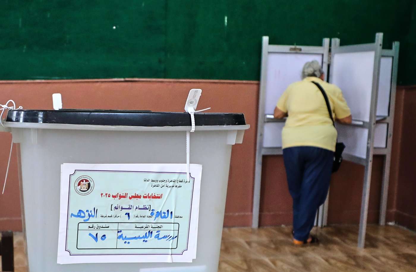 Egyptians vote in second phase of parliamentary elections | iNFOnews.ca